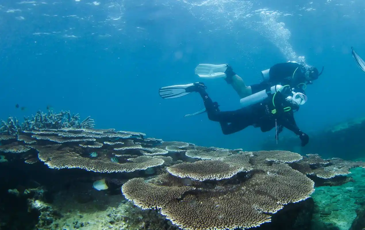 海南陵水举行潜水节