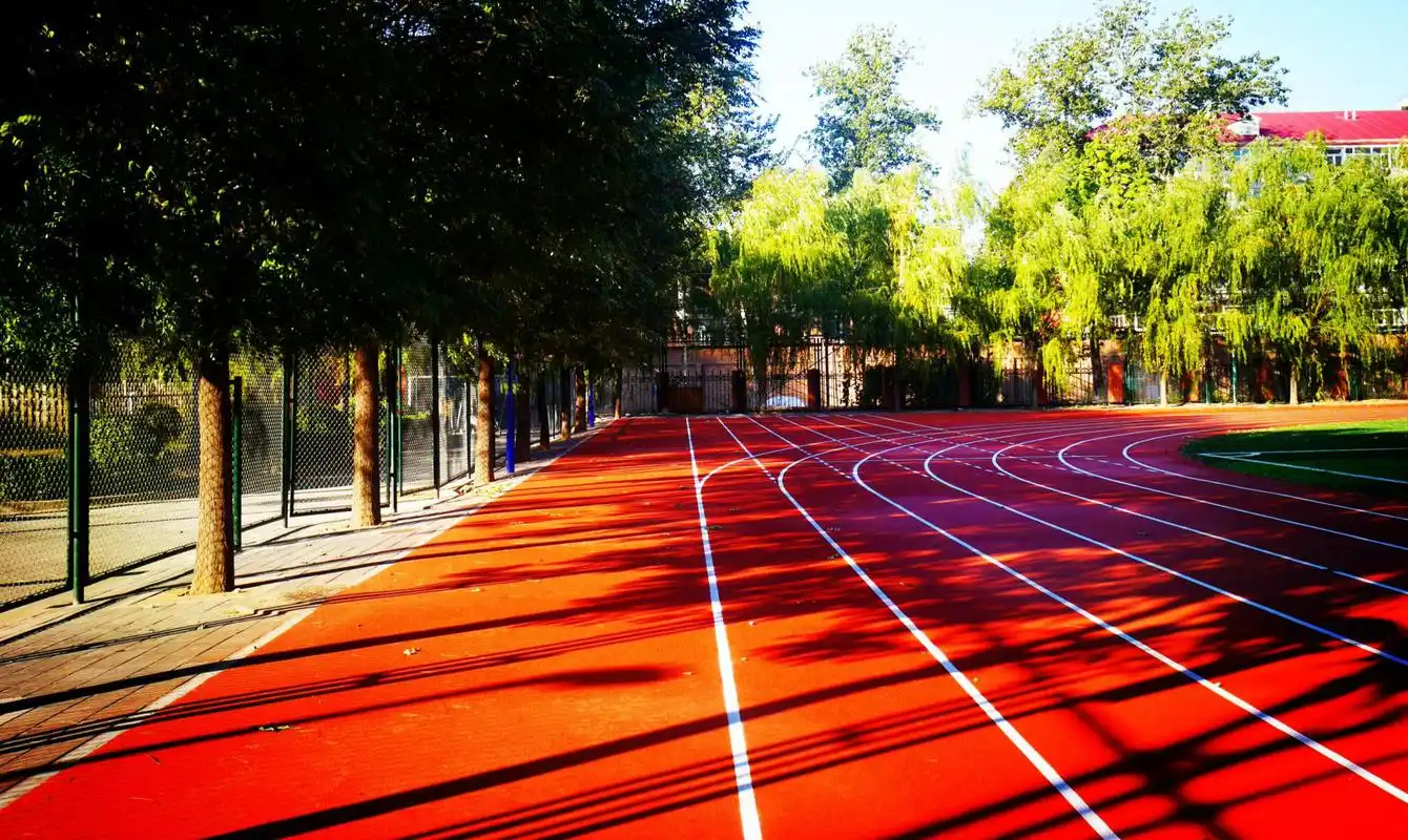 京城"最美校园一角"是否有你回忆里的青春?