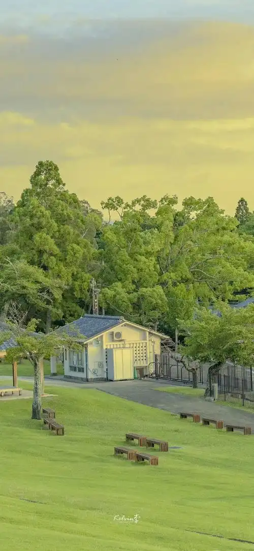 绿色系壁纸 太喜欢了!__财经头条