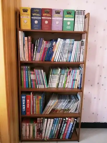 这是我的书架,各种各样的图书把我的书架都装得满满的!
