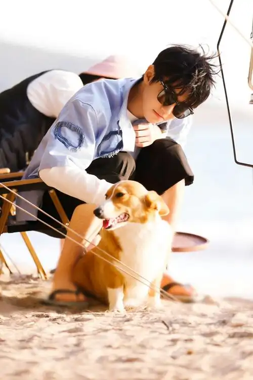 恰好是少年 王俊凯