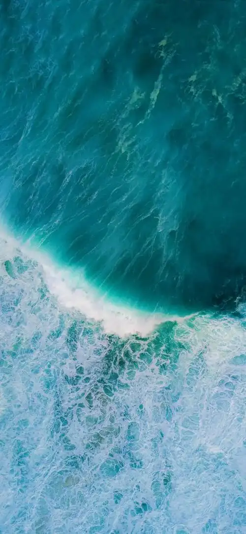 壁纸 桌面 640_1386 竖版 竖屏 手机