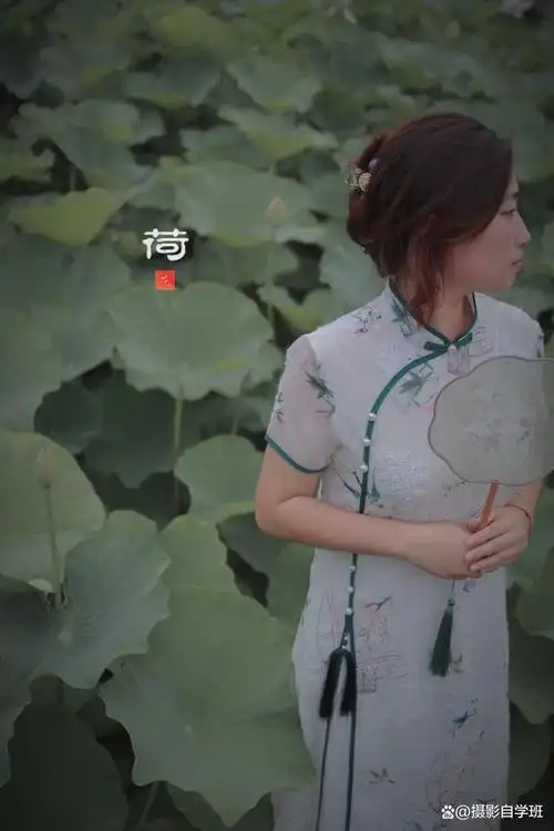 旗袍与荷花绝配,荷花人像拍照的3个技巧,趁荷花还在抓紧拍起来