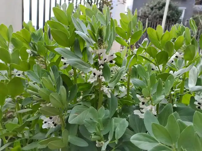 第二十三周 - 美篇