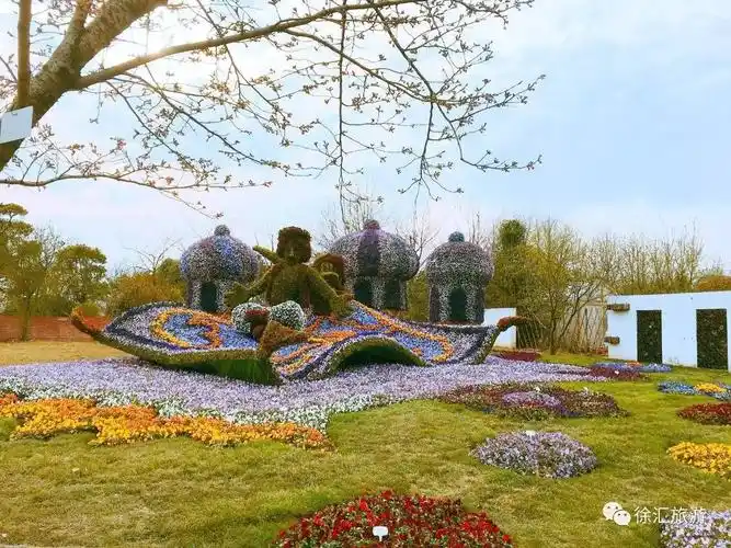 上海国际花展福利放送花都开好了我知道你五行只缺票