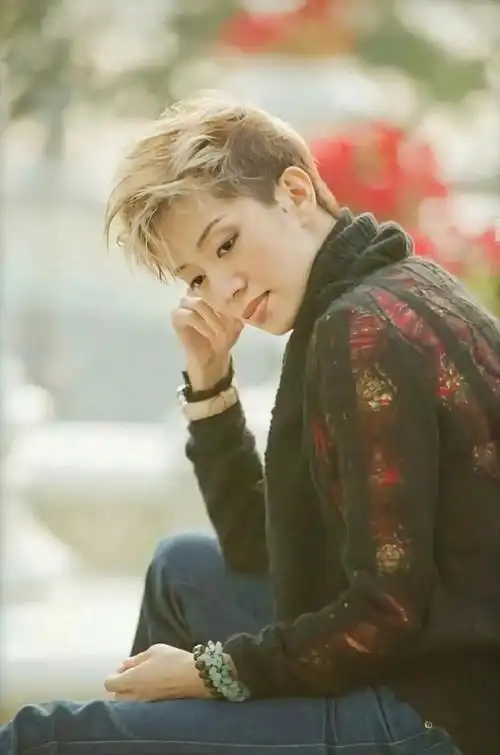 梅艳芳壁纸,她不仅是香港的女儿,更是华语乐坛的瑰宝