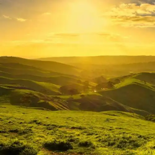 清新绿色风景头像绿色辽阔的草原风景图片