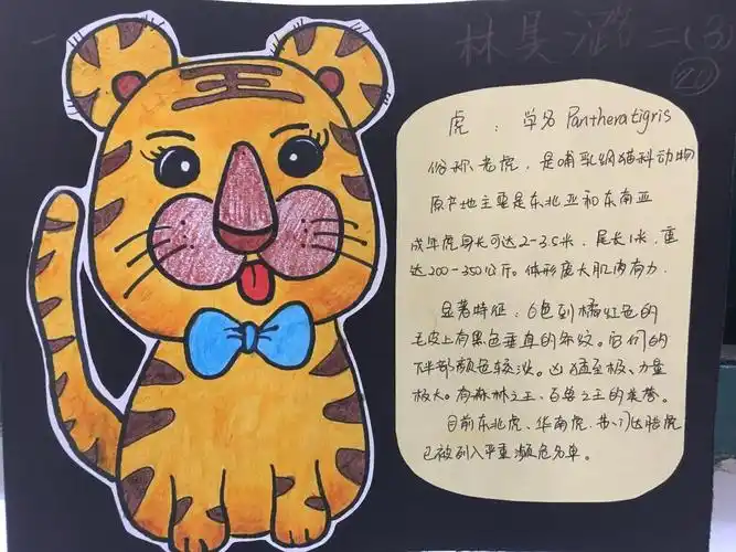 淮安小学绘动物名片拓学生视野