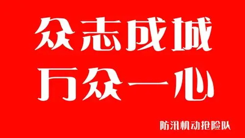 众志成城 万众一心