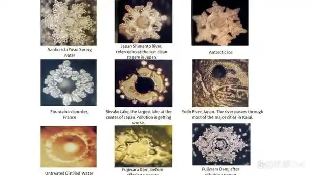 水竟然有记忆它怎样改变了我们的认知