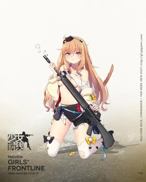 少女前线t65图鉴 t65好用吗