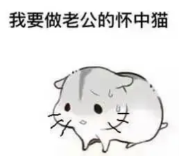 仓鼠球表情包系列老公