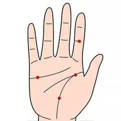 富贵手相(测手相扫一扫 掌纹)