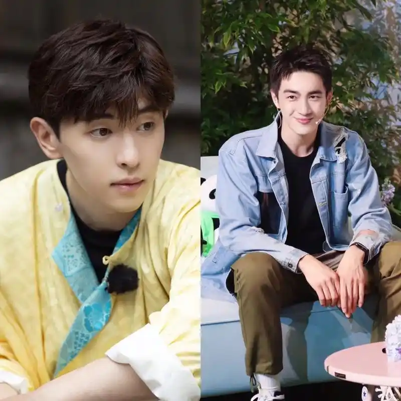 范冰冰baby杨紫肖战邓伦大长腿马甲线女星最新八卦汇总