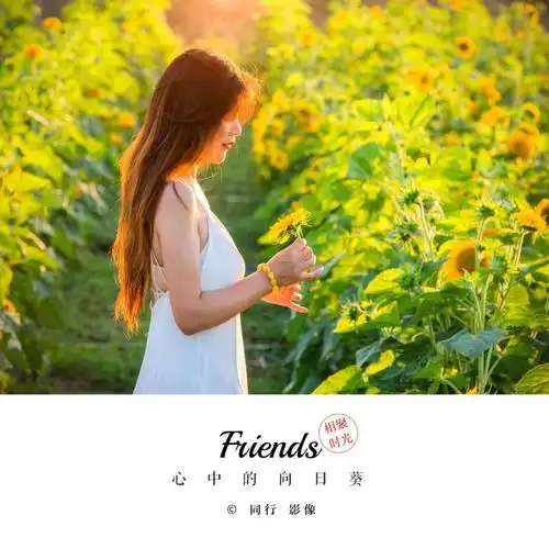 做安静的自己,最美