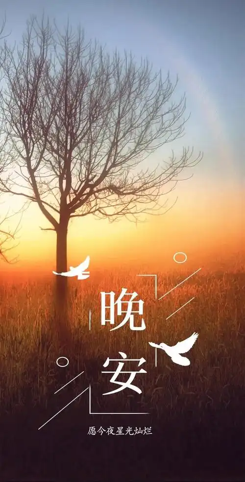 适合发朋友圈晚安心语唯美 说说心情短句,唯美朋友圈说说文案图片_微