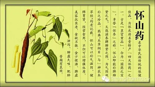 四大怀药系列之壹——怀山药