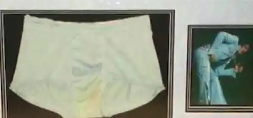 5个最"特别"的拍卖:一条明星内裤,居然拍到6万多元?