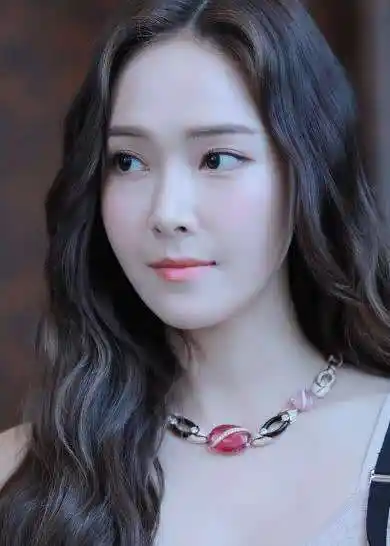 今天我们要数的这对夫妇是韩国的明星,女方的名字叫李敏英,男方叫李灿