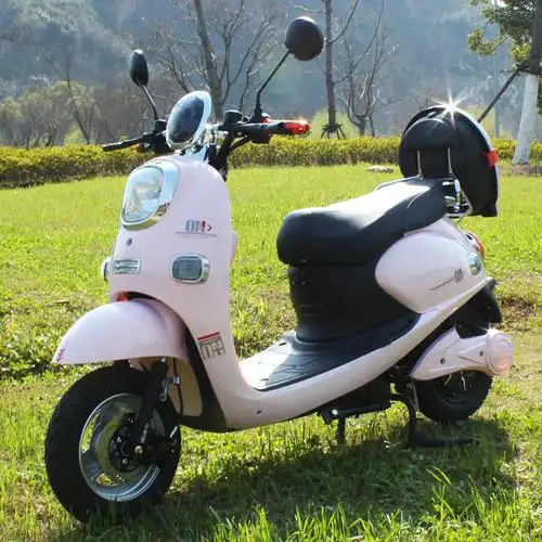 特价二轮电瓶车成人 电动 新款