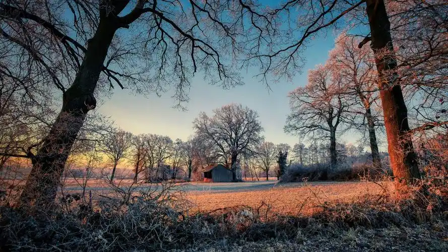 冬季冰雪风景图片49