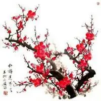 微信头像梅花图片大全雪景点击鼠标右键下载