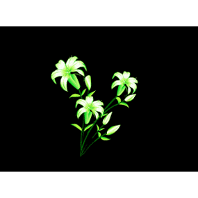 gif动画花草黑底