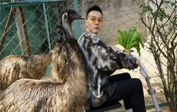 陈伟霆晒帅气9宫格照片,与小动物亲密合照,非常温馨.