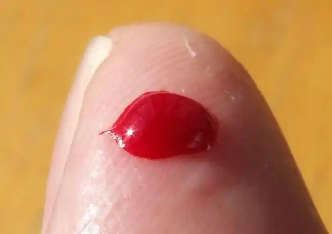 探究一滴血的奥秘————国和小学四年二班科技实践活动