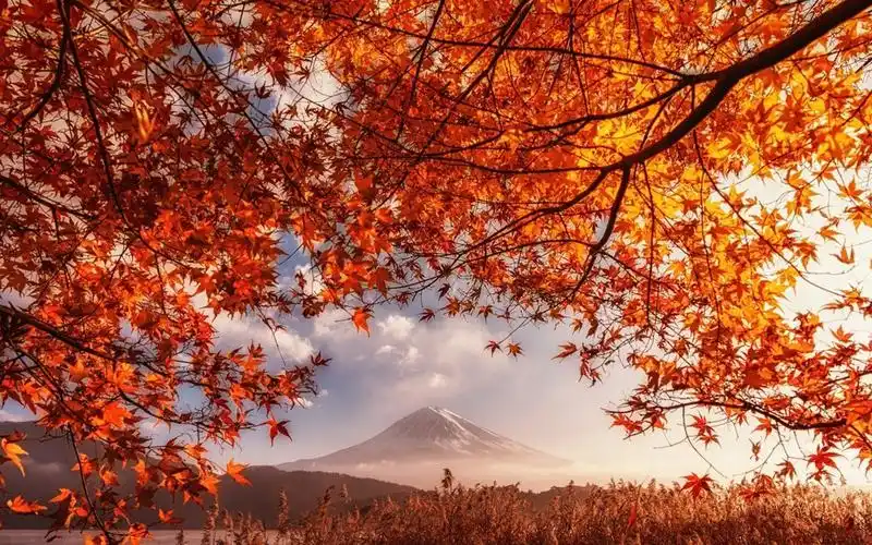 秋日的富士山唯美高清桌面壁纸