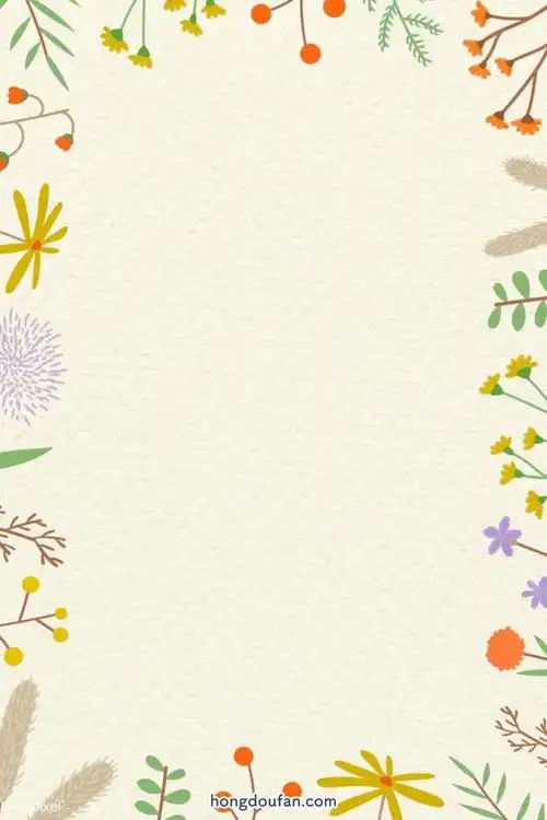 13张精选简约可爱的a4纸张背景图片免费下载