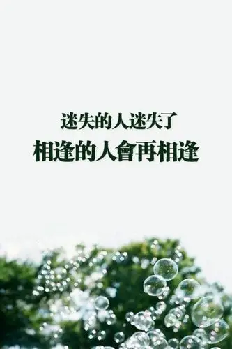 唯美风景带字皮肤_风景静物qq皮肤_我要个性网