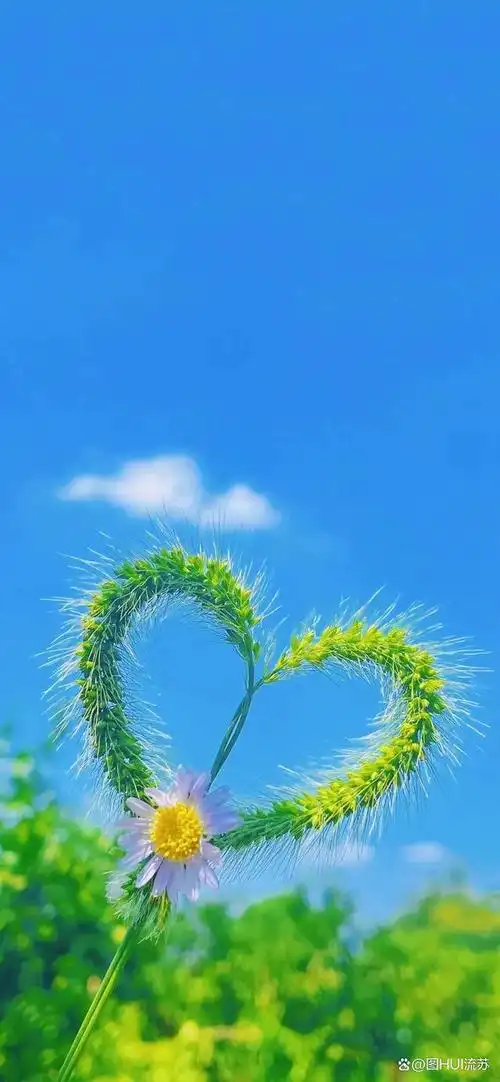 治愈系小清新壁纸