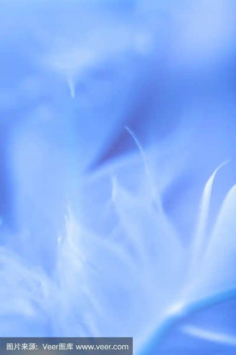 浅蓝色羽毛背景.不聚焦的羽毛纹理.