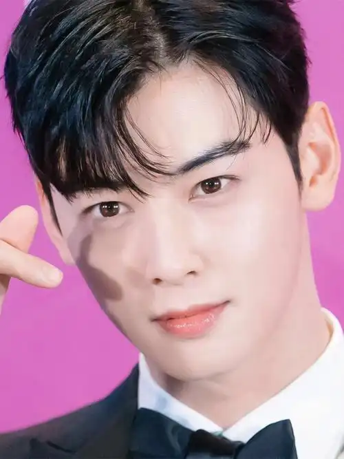 绝对美男车银优