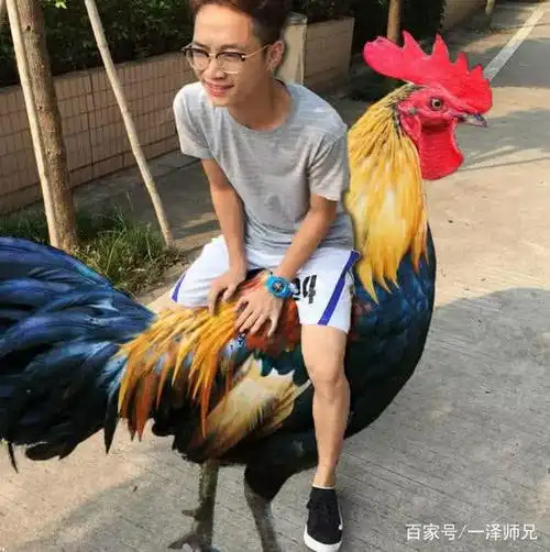 p图大神:下一个,决定就是你了!