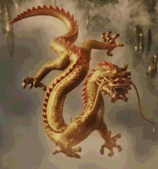 319_340gif 动态图 动图