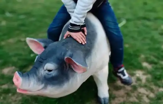 品读沈国冰骑猪少年