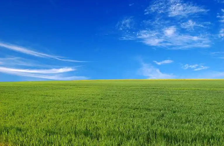 绿色的稻田风光1366x768分辨率下载,绿色的稻田风光,图片,壁纸,自然