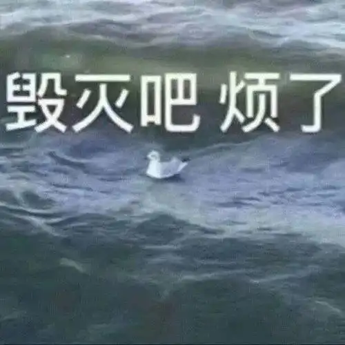 烦了毁灭吧是什么梗