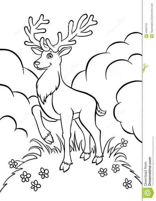 儿童简笔画森林