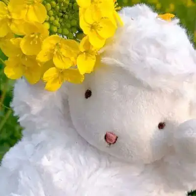 小清新可爱小羊头像/玫瑰掀起海_微信头像_我要个性网