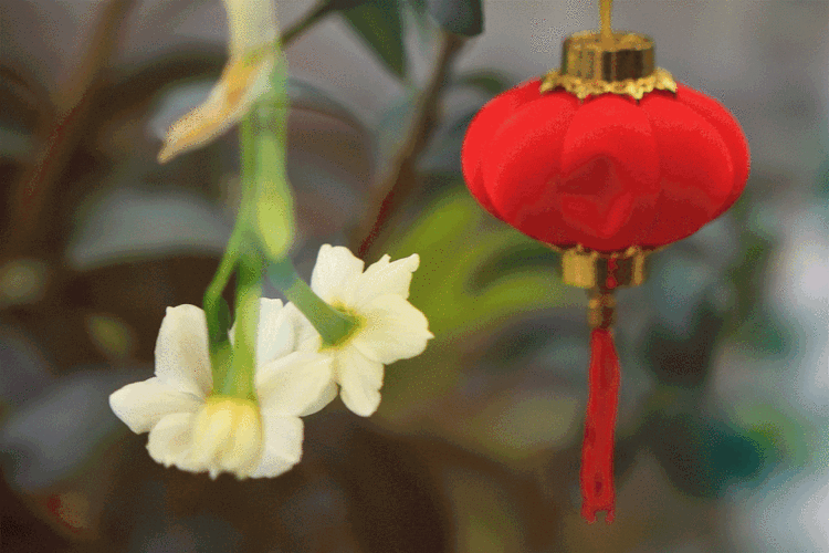 1080_720gif 动态图 动图