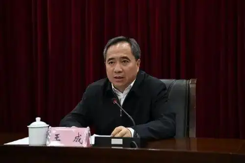 王成任湖南省委常委,组织部部长 王成简历照片
