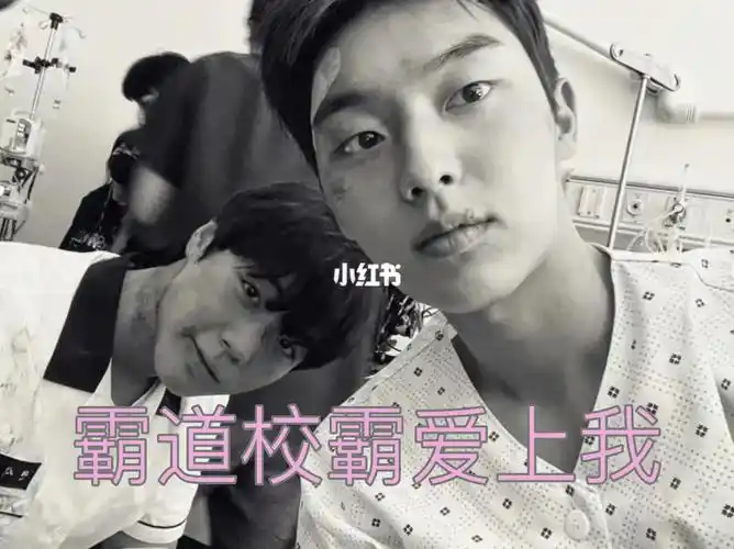 绝世甜剧阳光校霸70高冷学霸