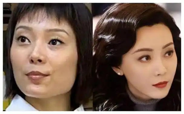 6位女明星貌美如仙,谁料整容尽毁形象|陈数|娱乐
