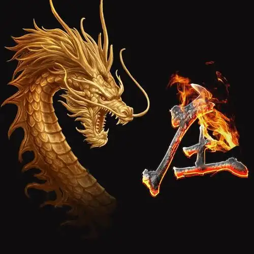 霸气火焰龙姓氏微信头像进来看看有没有你的姓氏赶紧领走