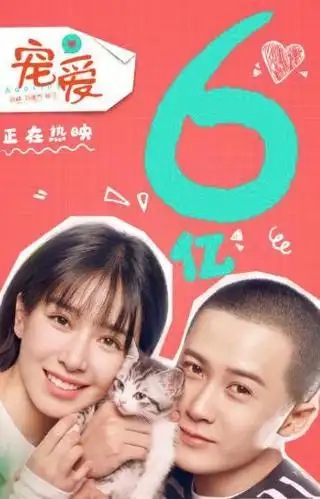 「创作开运礼」用宠物维系人情,才是《宠爱》的意义所在