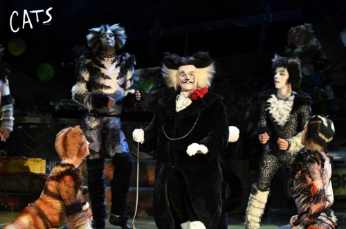 原版音乐剧《猫》来成都了!你可以不看音乐剧,但不能不看《猫》