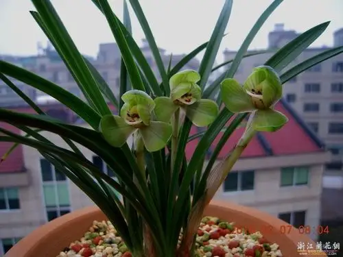 风雨同行户外群观大脚仙徒步庙坝镇